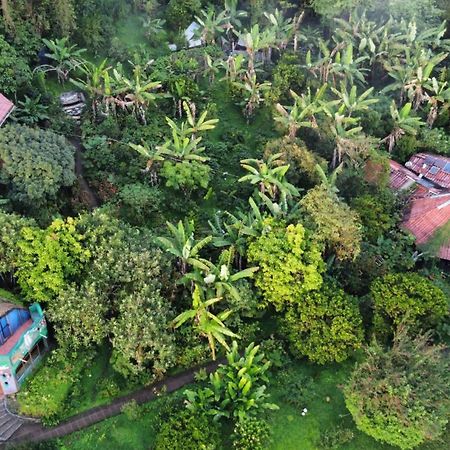 Finca Neblina Del Bosque Estelí Екстериор снимка