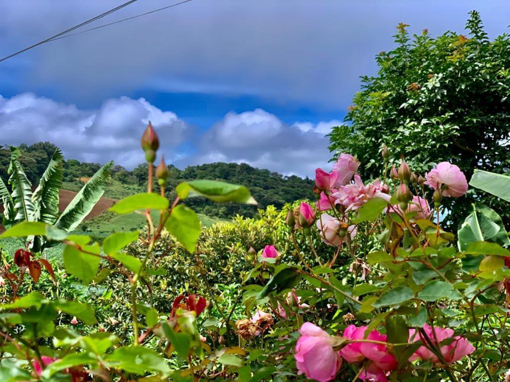Finca Neblina Del Bosque Estelí Екстериор снимка