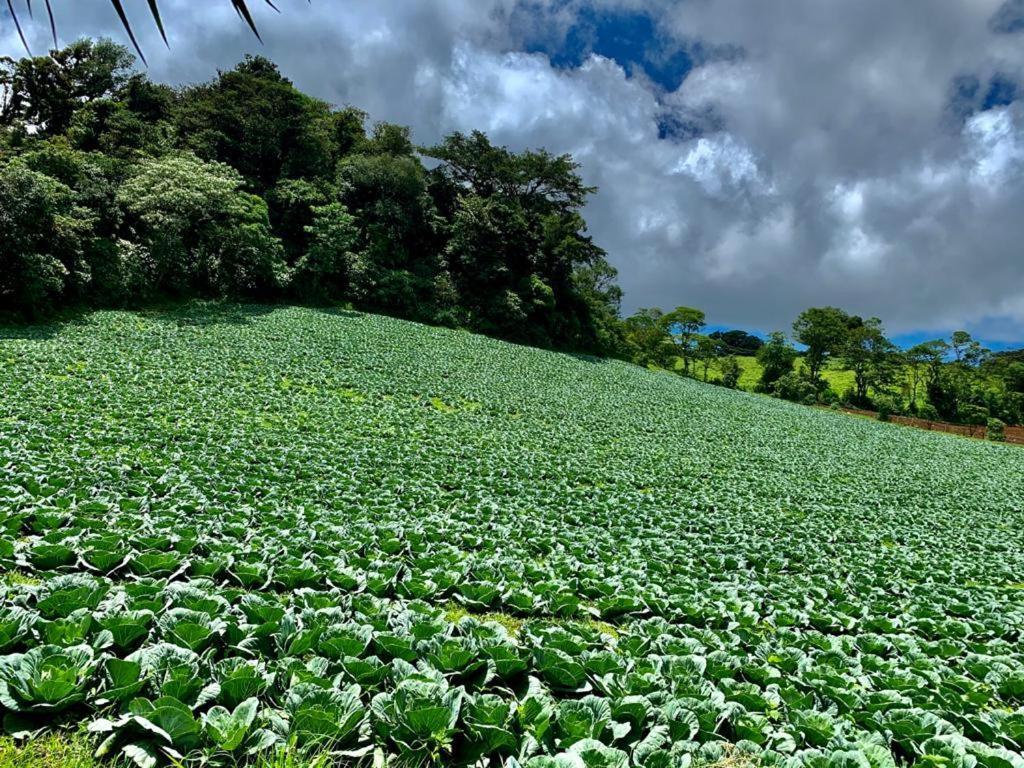Finca Neblina Del Bosque Estelí Екстериор снимка