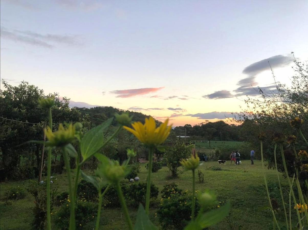 Finca Neblina Del Bosque Estelí Екстериор снимка