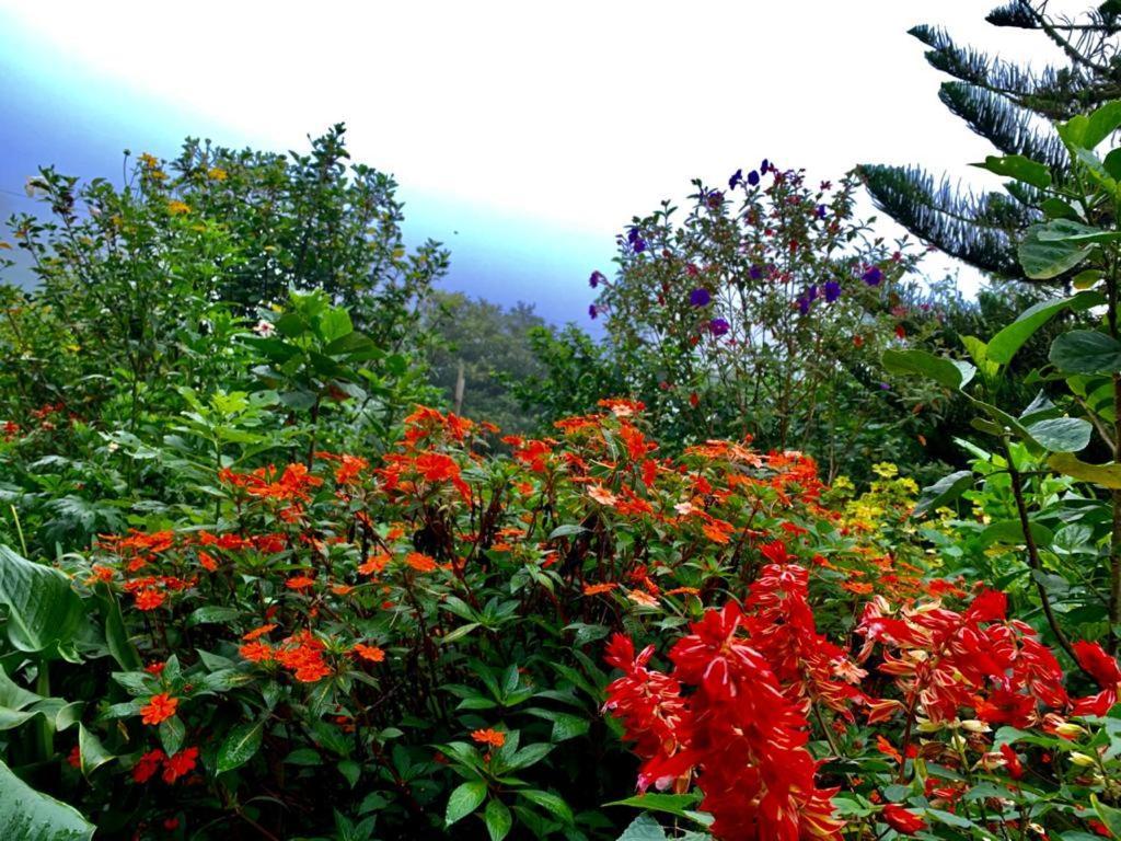 Finca Neblina Del Bosque Estelí Екстериор снимка