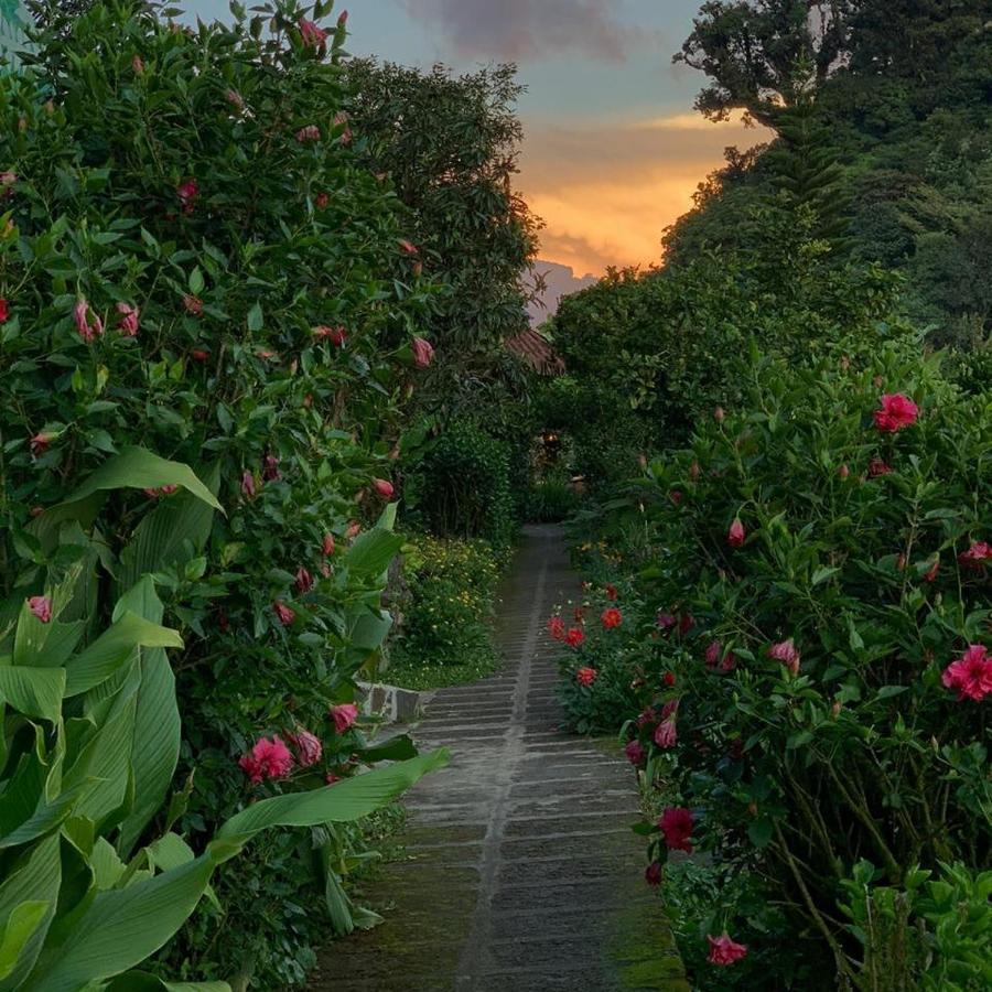 Finca Neblina Del Bosque Estelí Екстериор снимка