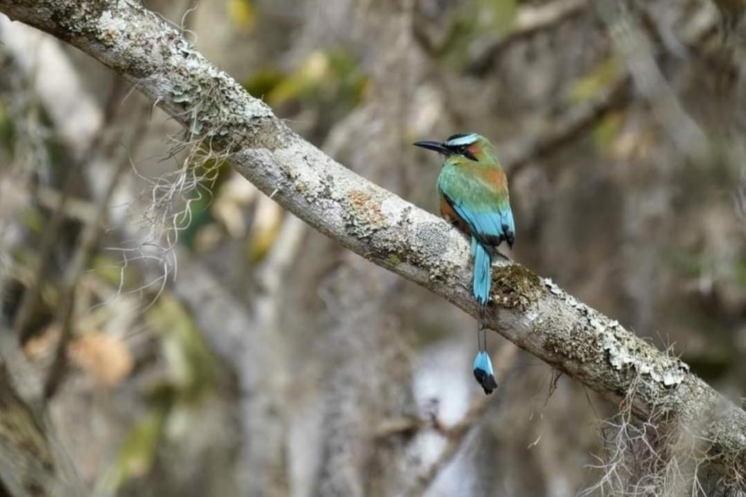 Finca Neblina Del Bosque Estelí Екстериор снимка