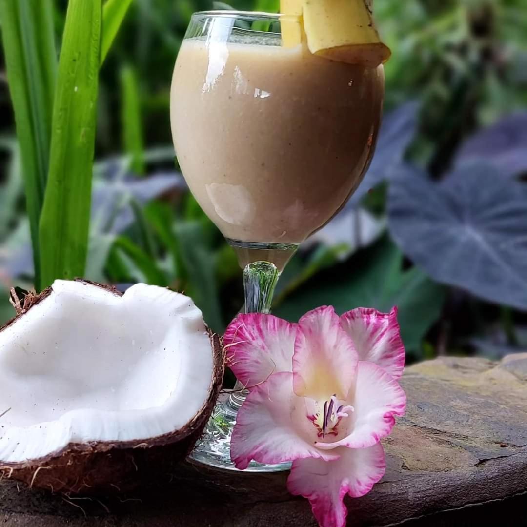 Finca Neblina Del Bosque Estelí Екстериор снимка