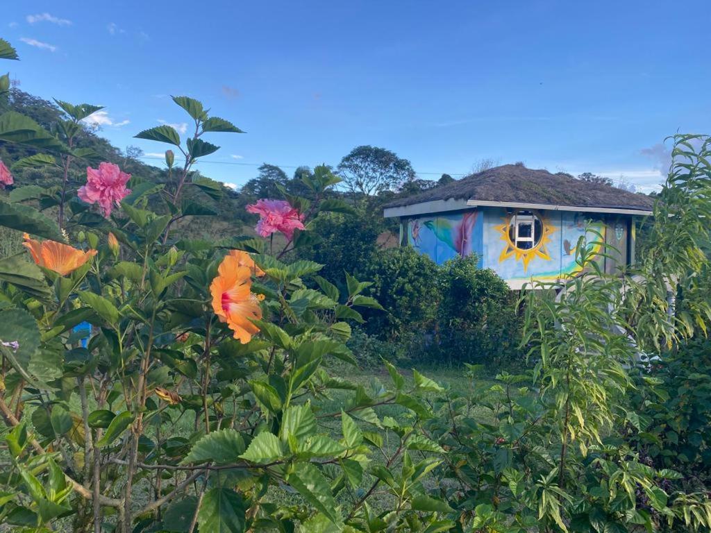 Finca Neblina Del Bosque Estelí Екстериор снимка