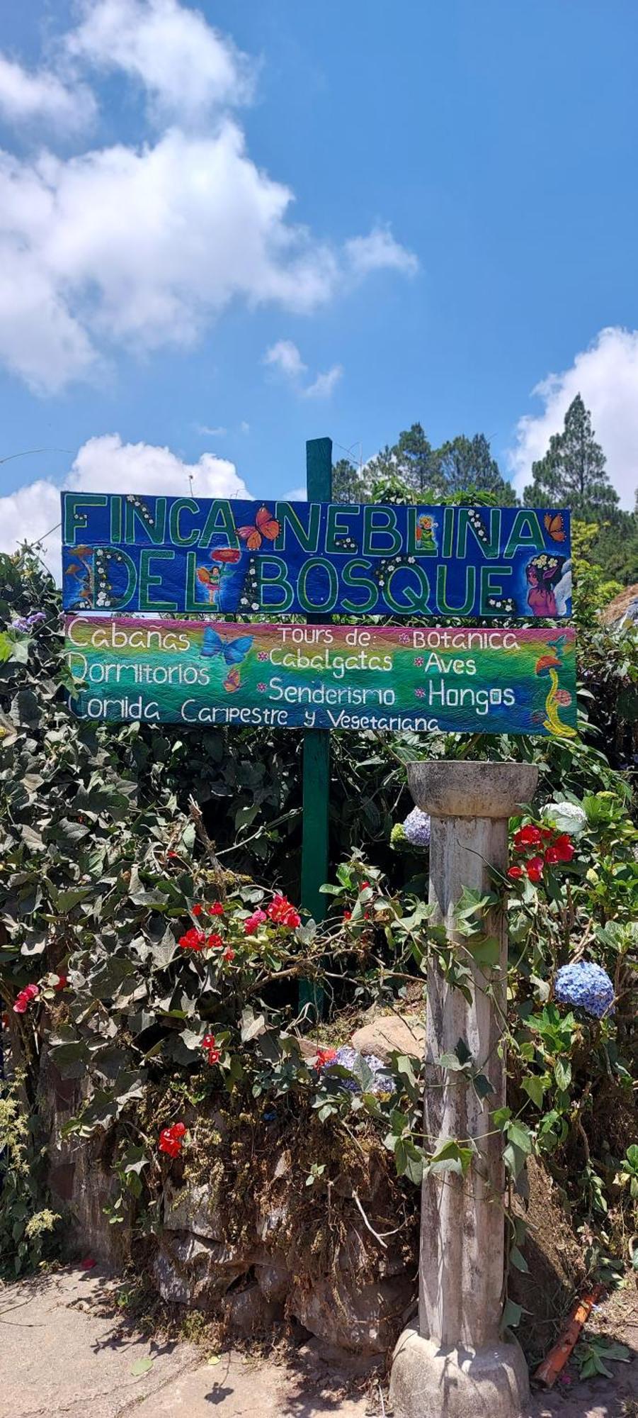 Finca Neblina Del Bosque Estelí Екстериор снимка